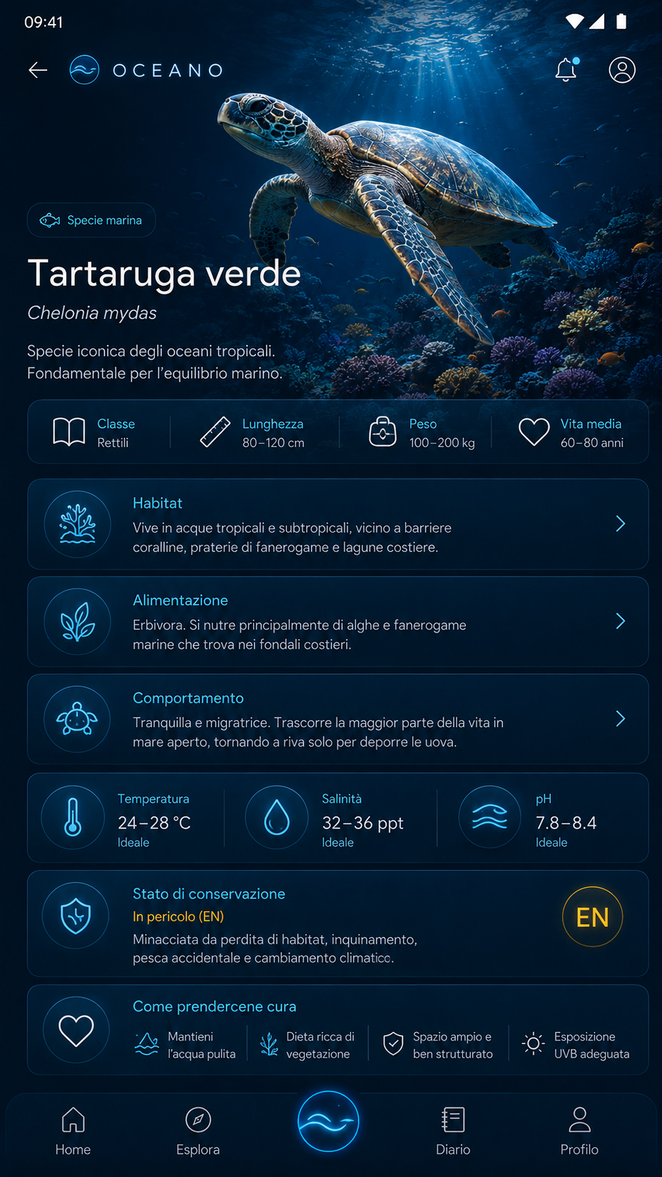 Scheda specie: habitat, dieta e comportamento